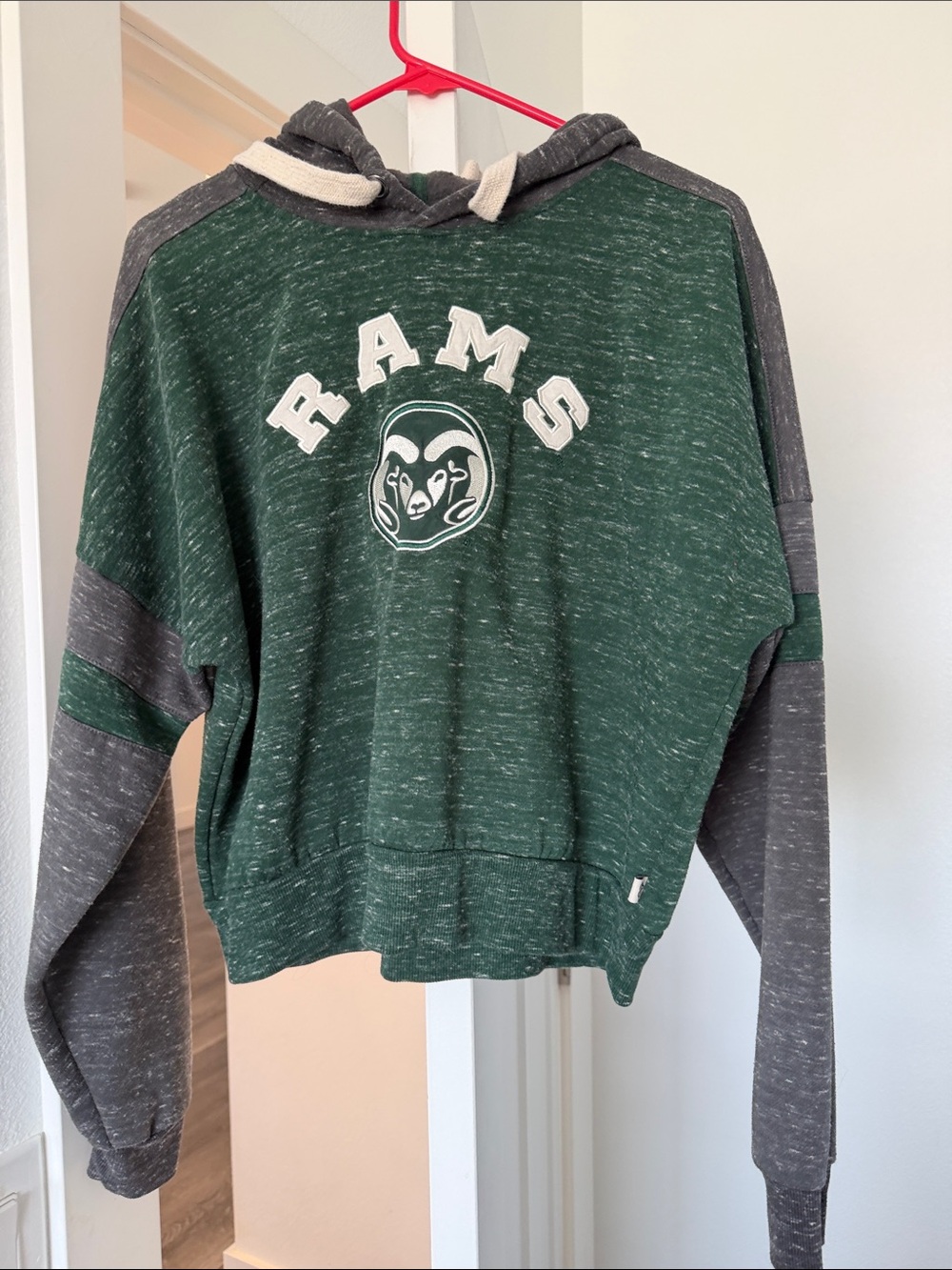 Rams Green & Gray Hoodie - Team Logo Pullover